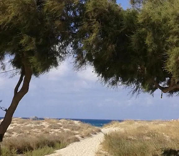 Sea Shell Hébergement de vacances Pláka