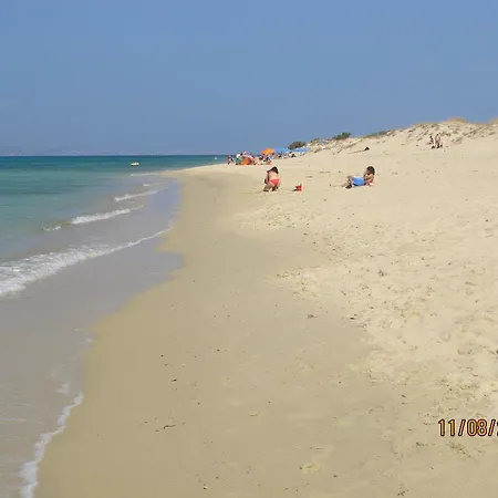 Sea Shell * Pláka